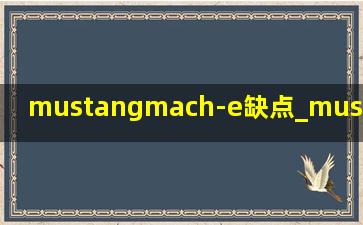 mustangmach-e缺点_mustang mach-e